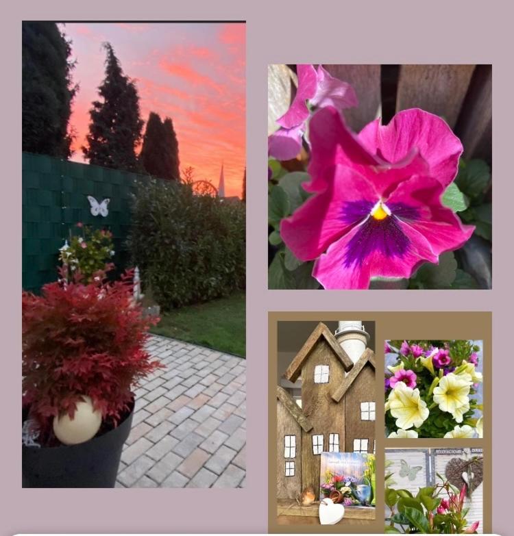 Apartment Glesch แบร์กไฮม์ ภายนอก รูปภาพ